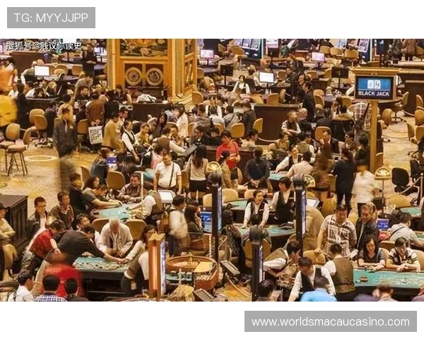 澳门各大赌场排名变化趋势分析,2024年最具潜力的赌场排名前十名推荐