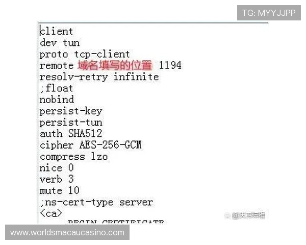 皇冠澳门域名的安全性分析与保护措施详解