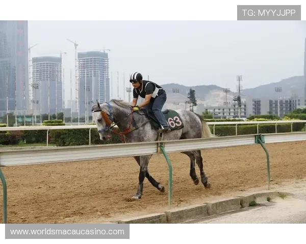 2020澳门赛马比赛具体举行日期及赛程安排全攻略